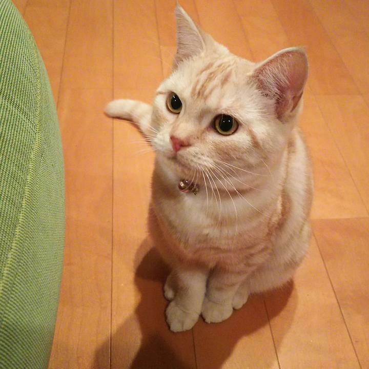 265d104c af39 4946 b89b f6c052d28a6a