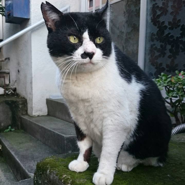 265d2bb7 14b9 4cda 9490 c561340c3f28