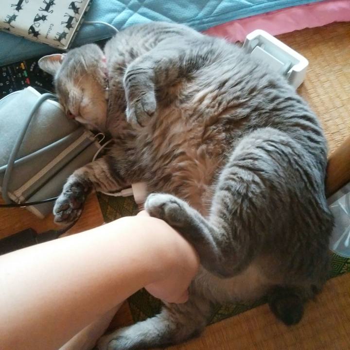 265d475a 5947 4e78 be3a 8db61d151553