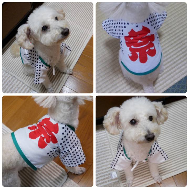 265e4fdc a62e 4b4a 953a 8a7563dbdf7e