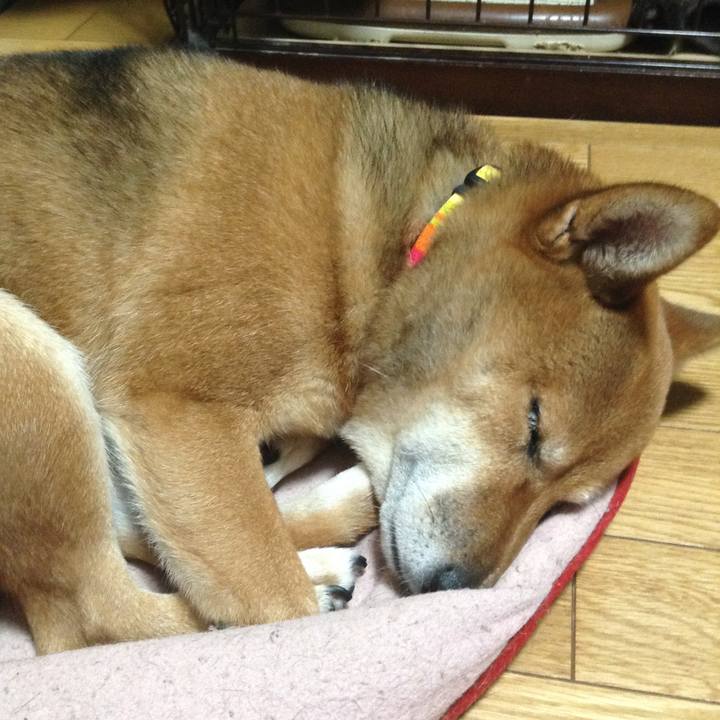 265e968d 1403 40d5 b680 c5b7a9540d87