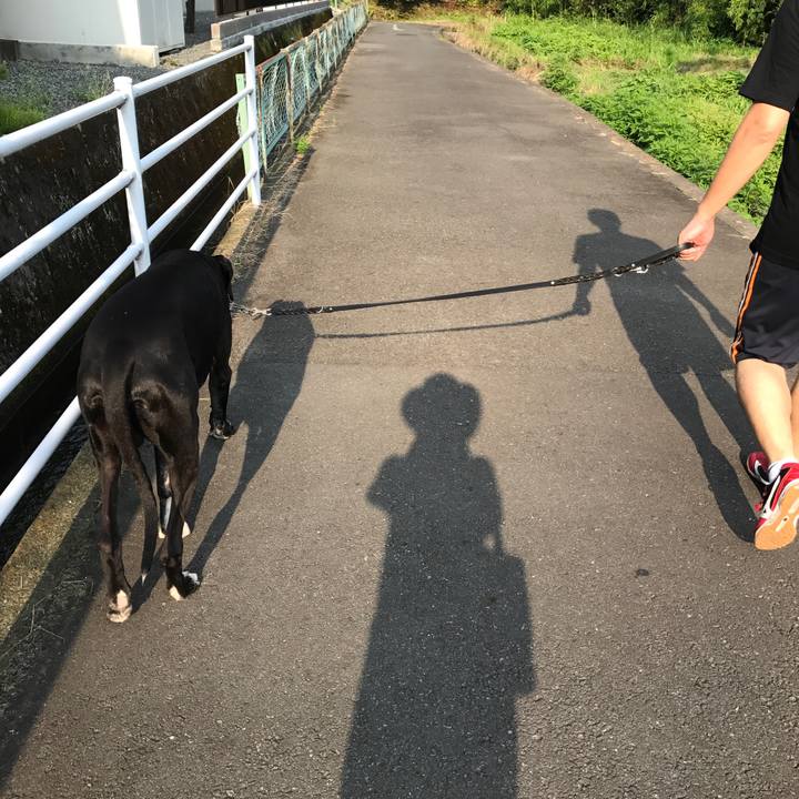 265ecb30 705a 461c 9969 dade950c5dd6