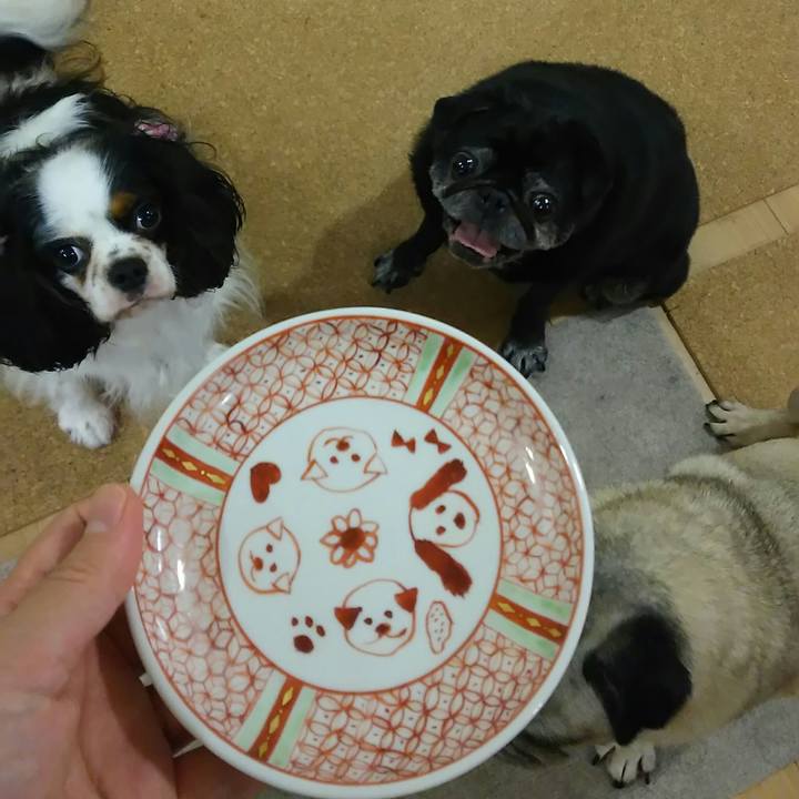 265f7ca2 d6d4 4715 b512 1e22493fc586