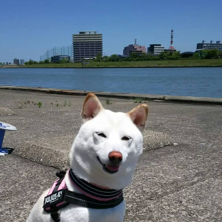 265ff6aa 0aa8 42ae 87ee b85c1b341ffa