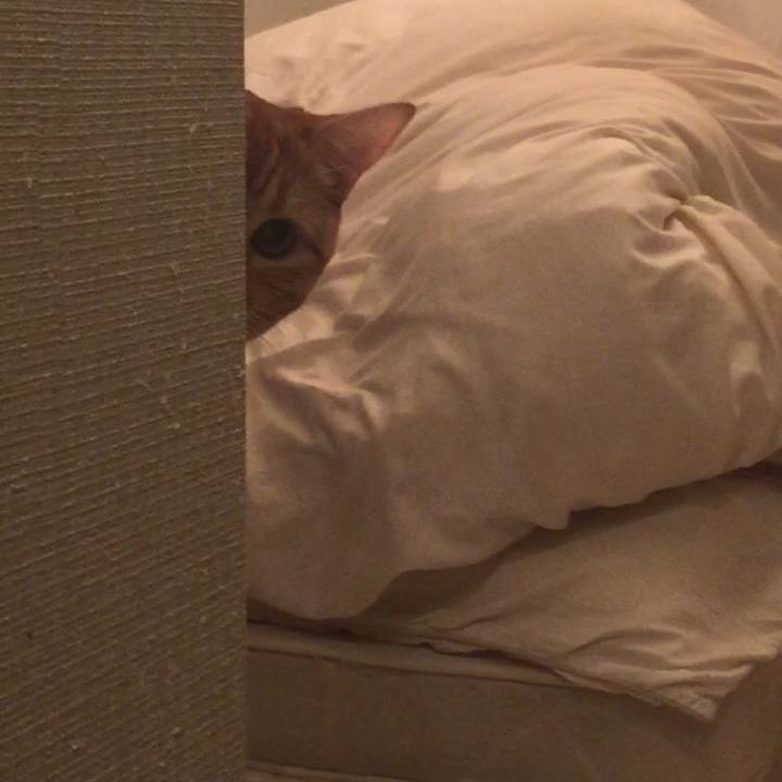 2660b5c2 4e1e 4e84 a05e 52bb4b4d0e59