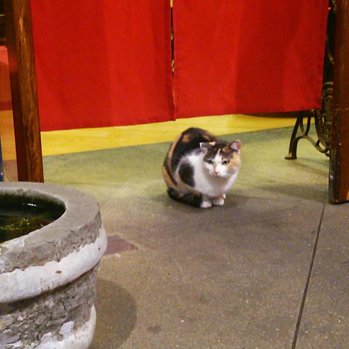 2660ef3c 7717 441d 8956 567e583b3a91