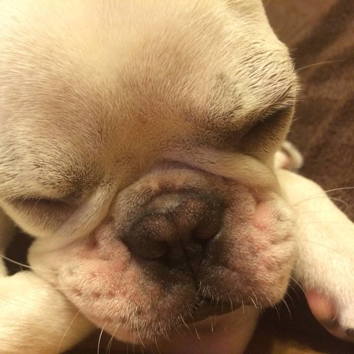 266139b7 c3f0 4848 9f63 e864a23662b2