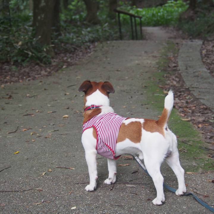 2661ed84 673d 4bb2 bc39 06e30f53865e