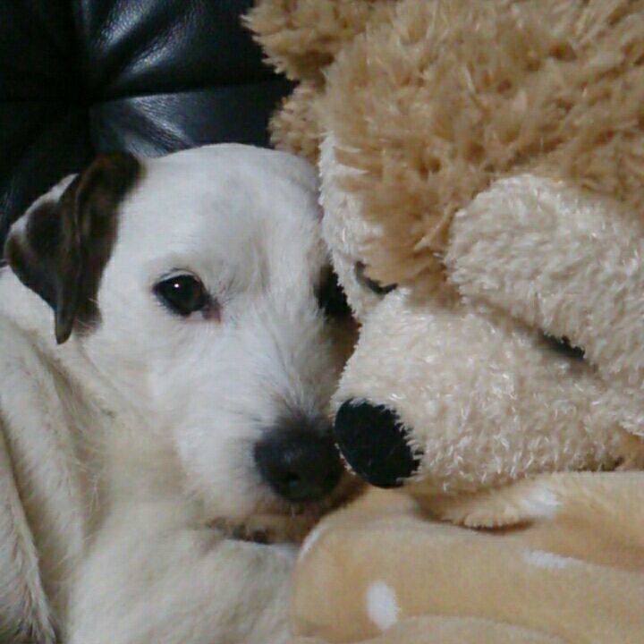 2663142d b91f 442a 9fdd 651881401730