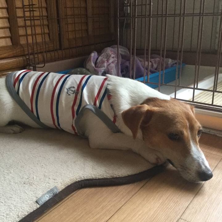 26636032 f40c 489e 9ef6 4f7bfef04adf