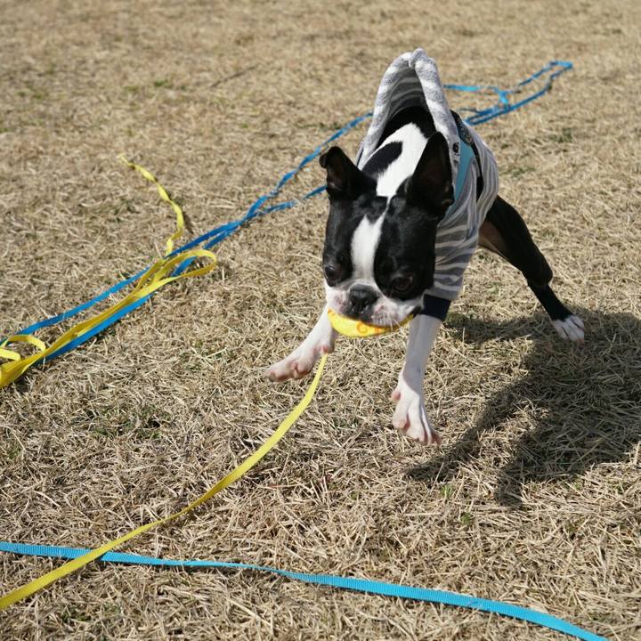 26636517 11ed 4375 8adc d5289e08c24b