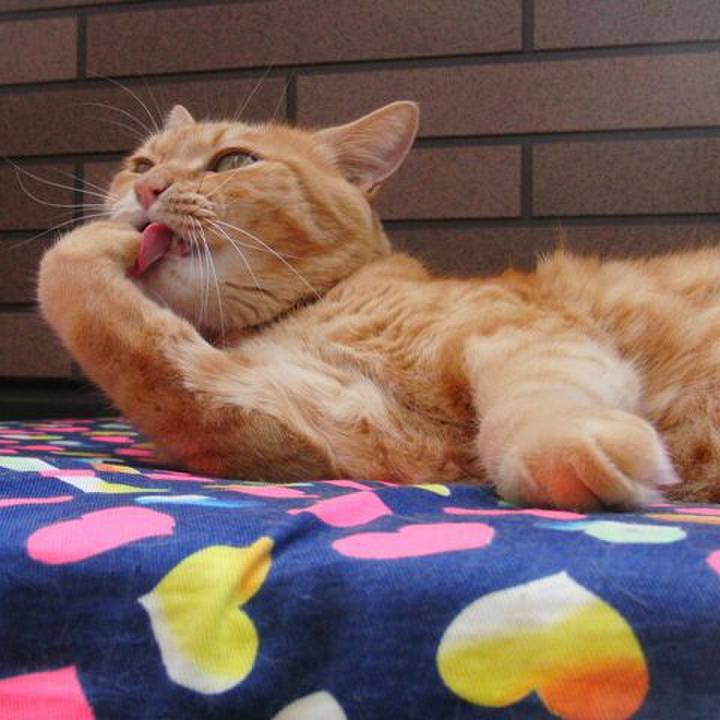 2663f149 3624 4e0d bd53 9b46f05e79d0