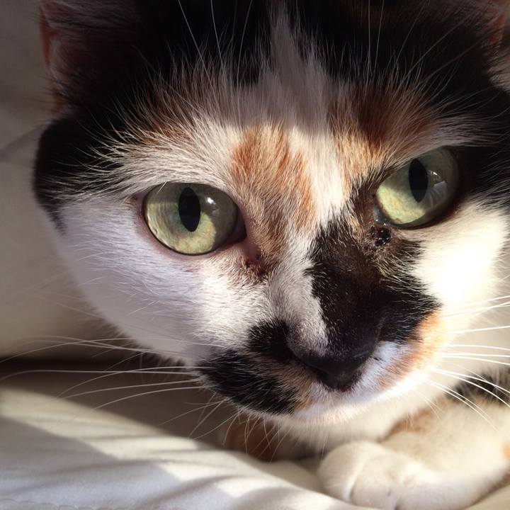 26648af5 7823 4180 b998 5e8dea74dce7