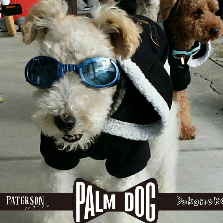 26649db0 d65d 4578 83d2 8fb1f1477090