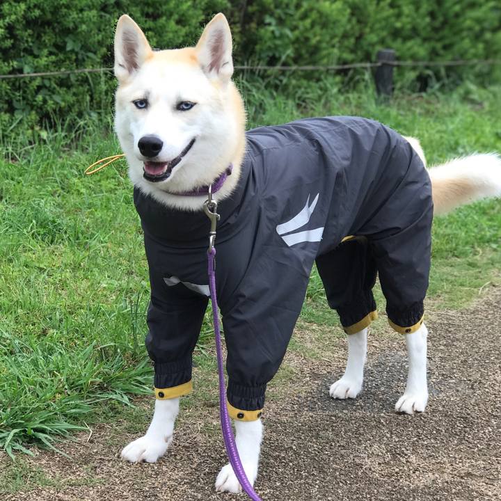 2664d69c 4000 454f b788 a47eb53e64e3