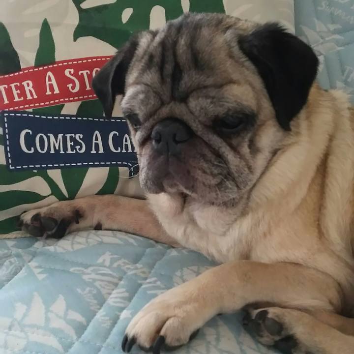 2664f193 1899 4f2f 8804 c7b20e3d7a13