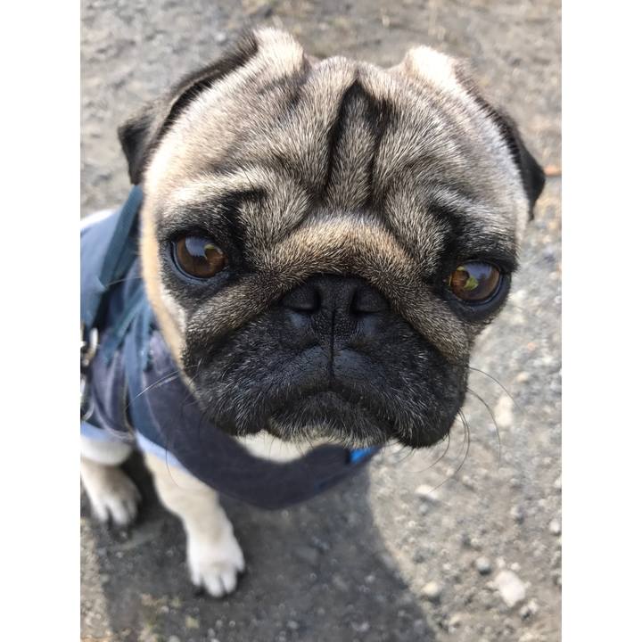 266524e5 9211 4bd7 ad19 9e96a4d12ad3