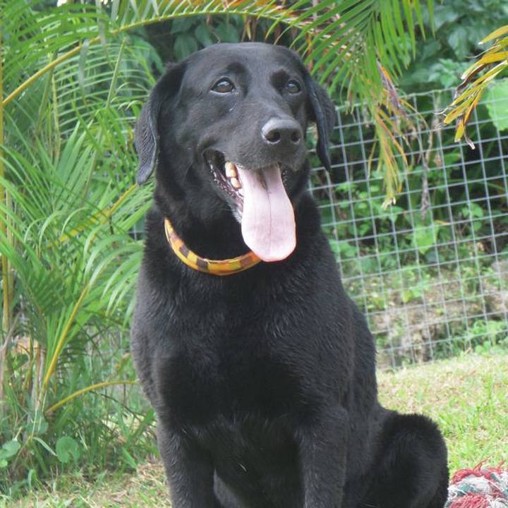 266527d9 7626 4ed2 b7b6 d1c781f47022