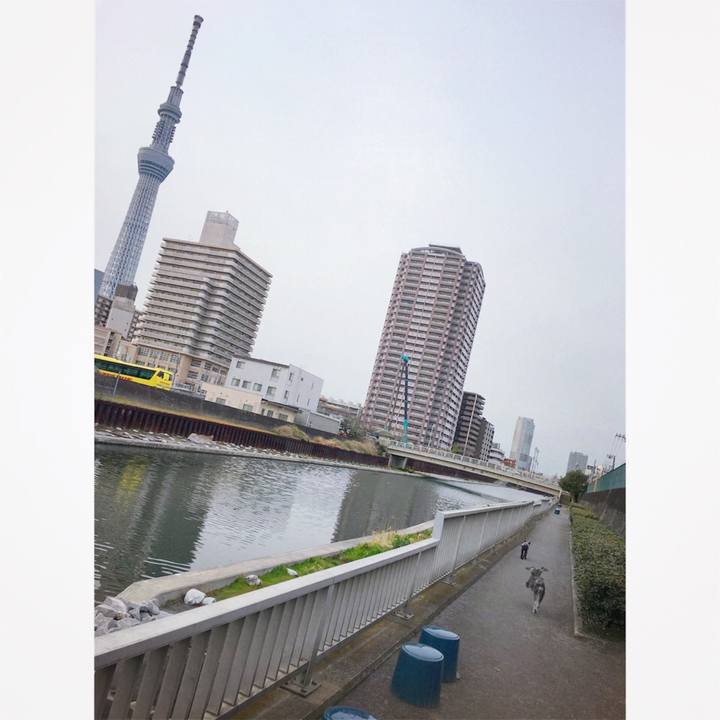 26657903 5feb 41d1 ad84 b5614276effa