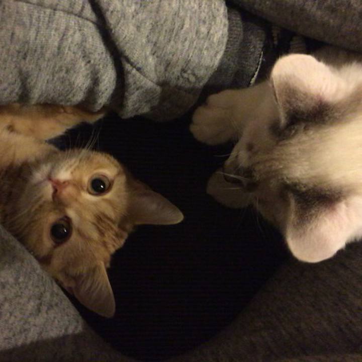 2665b952 8bc4 4342 80e7 4351da8b0ea5