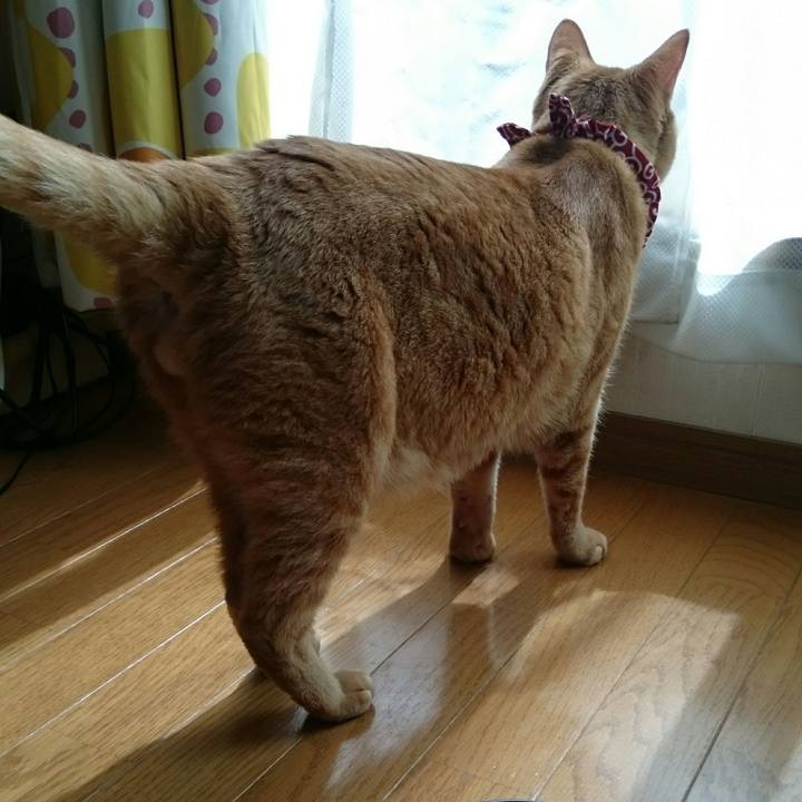 26662624 9b4d 4966 bd40 5ac1724aefae