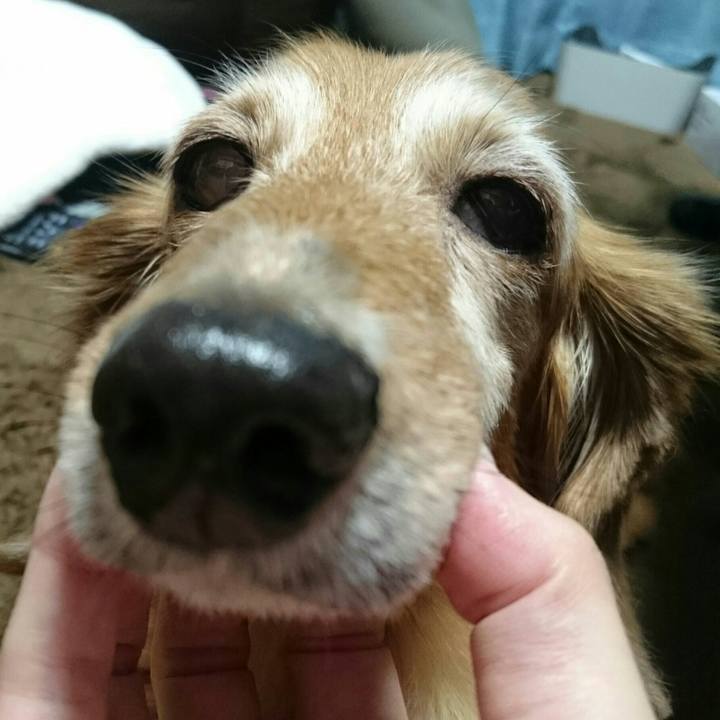 2666ad46 9058 46cc 8cfd fefcf445c12e