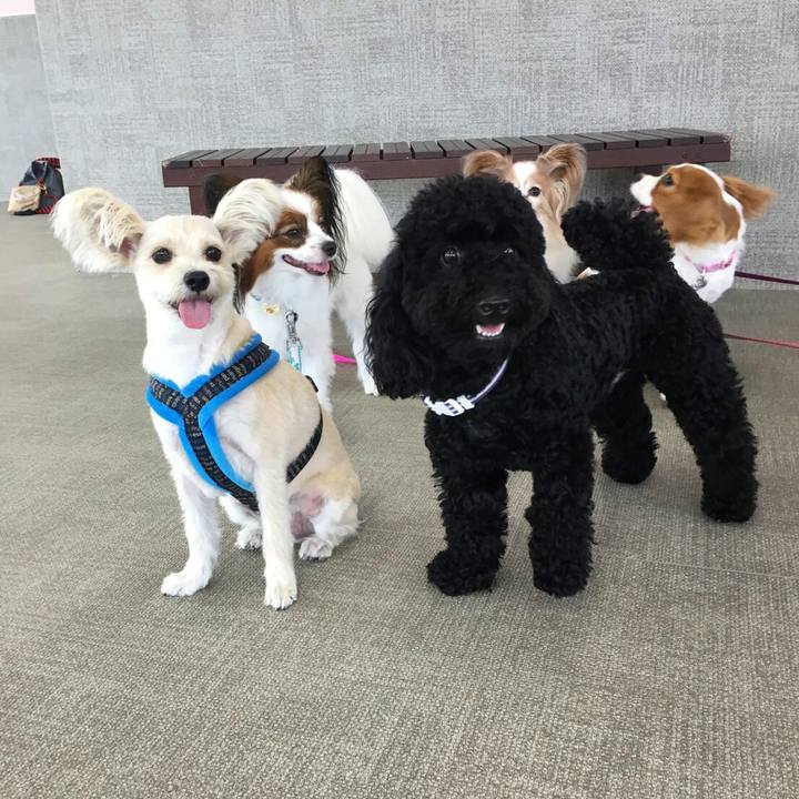 2666b323 3d7e 491f b20e 31b8866fc073