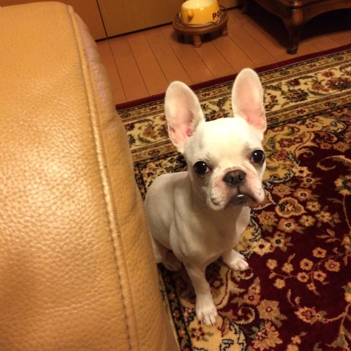 2666bdd1 3360 421f ac3c 5c85e09f15c1