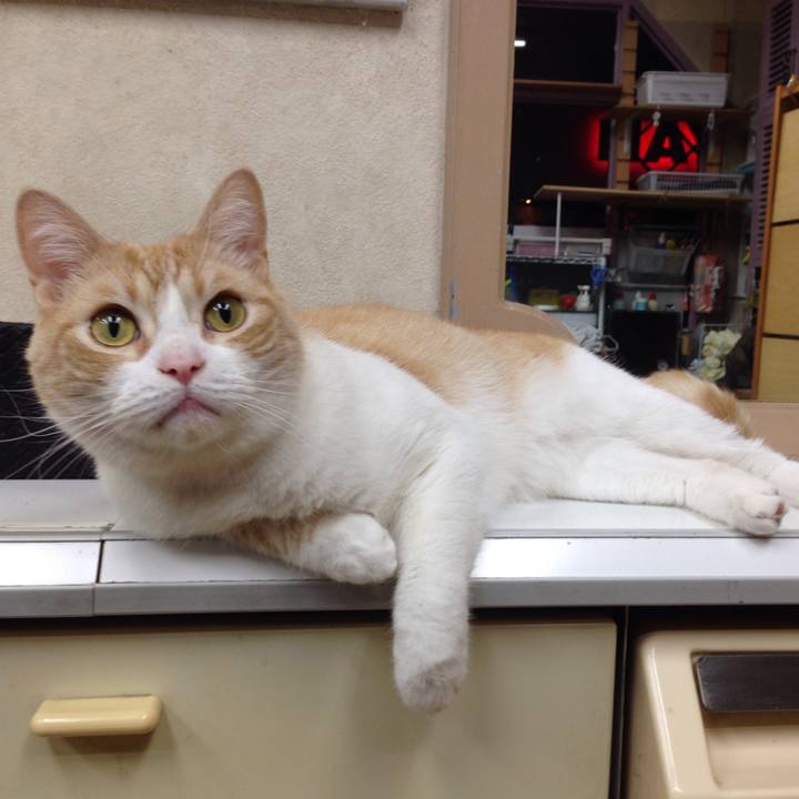 2666ee2d c766 4eb0 b4cd fd0099b7bcbc