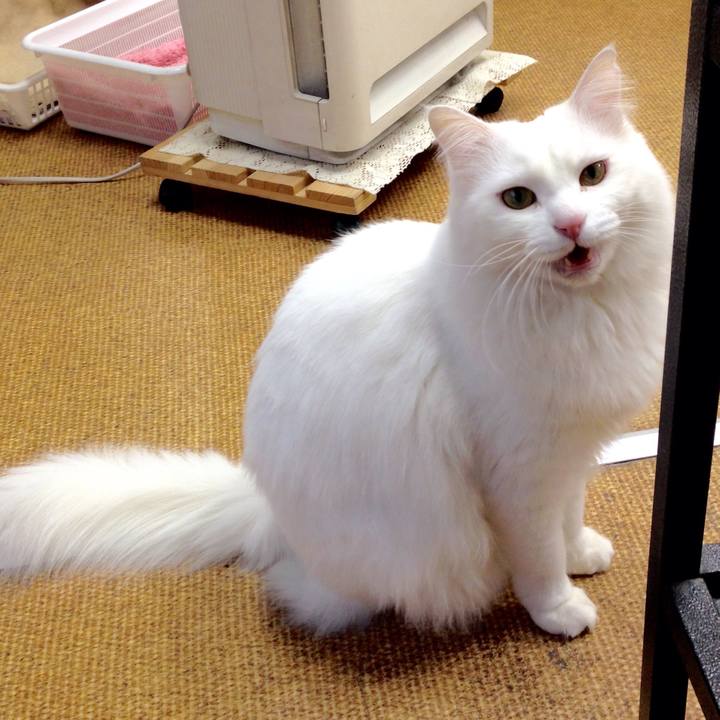 2666f35f 79b3 438e a0c6 431c4b1ded8c