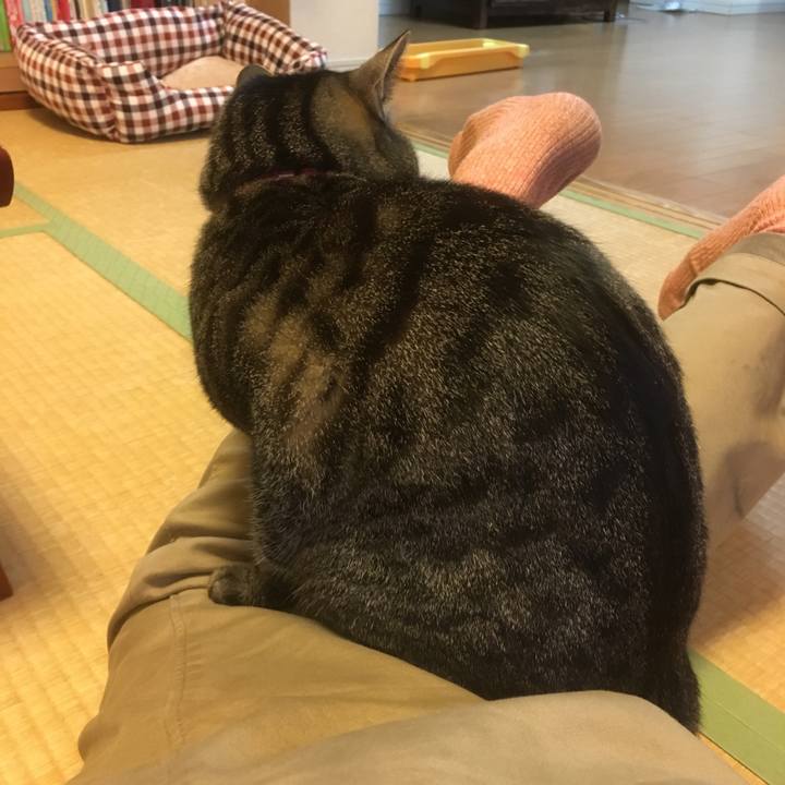 2667e122 1b1c 4b75 be4b f30be26de07e