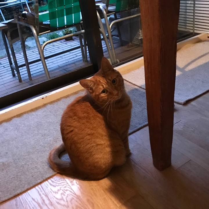 266837e3 c03d 46ac b61a 1eeb869c74d1