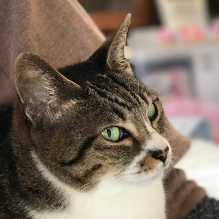 26683c2a 43d3 40e1 afa8 579cf24d9e72