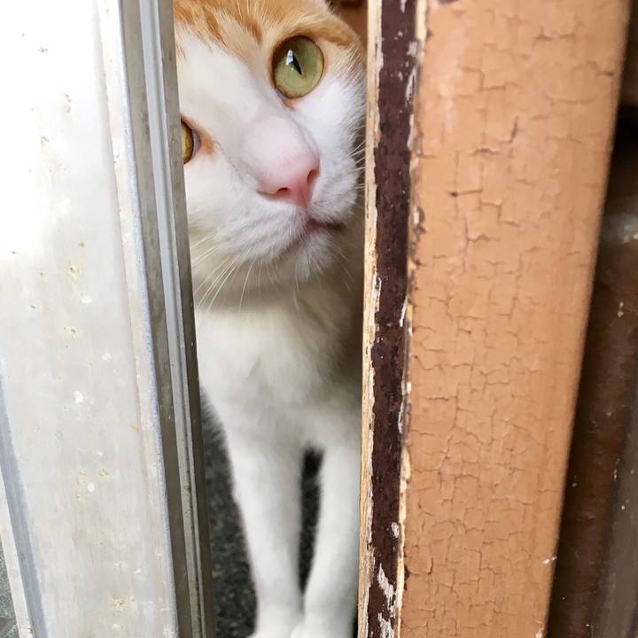 2668e762 bcbc 4da2 a4d8 e657096a71bd