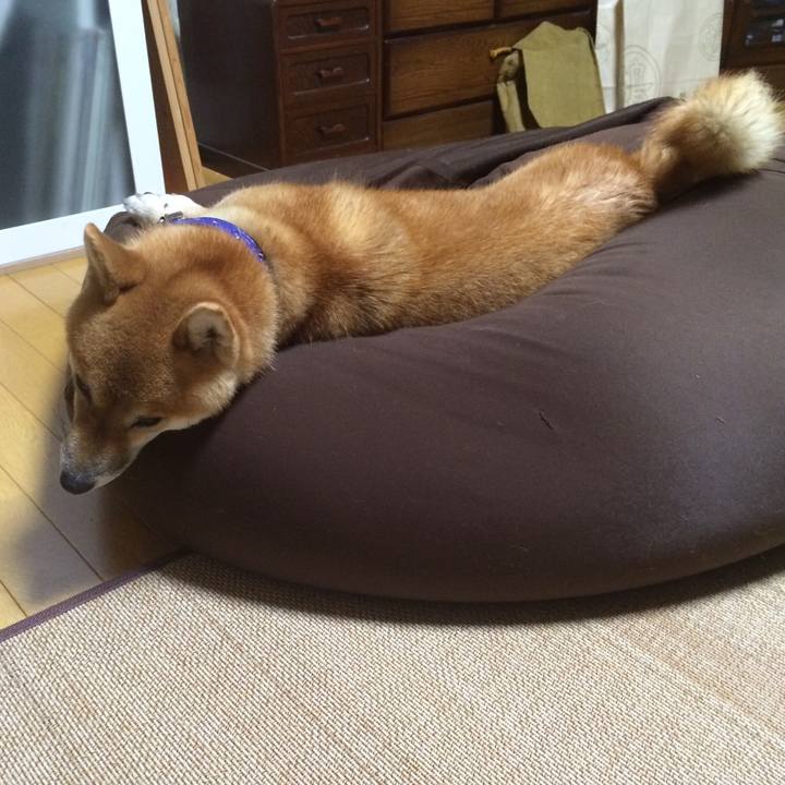 266943ee 711c 4346 9eac 8c51118fade6