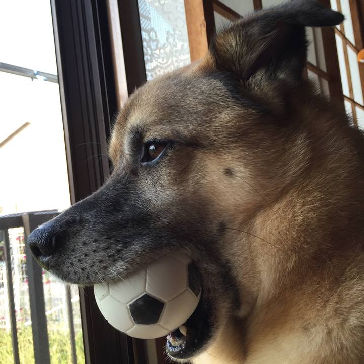 266a08b3 0e09 43bd 880a c9498275219a