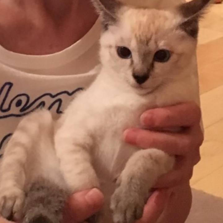 266a0a10 1417 4a63 9950 2d895f74f16f