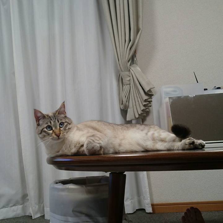 266a2743 6fa2 44cb a0db 14a6217badfb