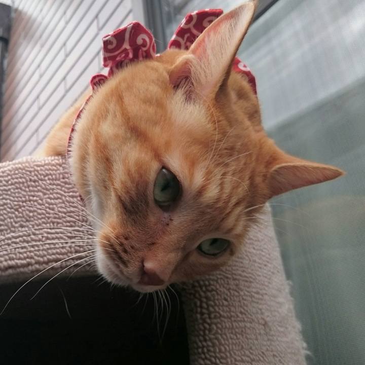 266a4570 0b7b 44e9 9cee f15308d3c14a