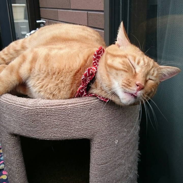 266a7740 415c 488e 9451 813978fc7bd8