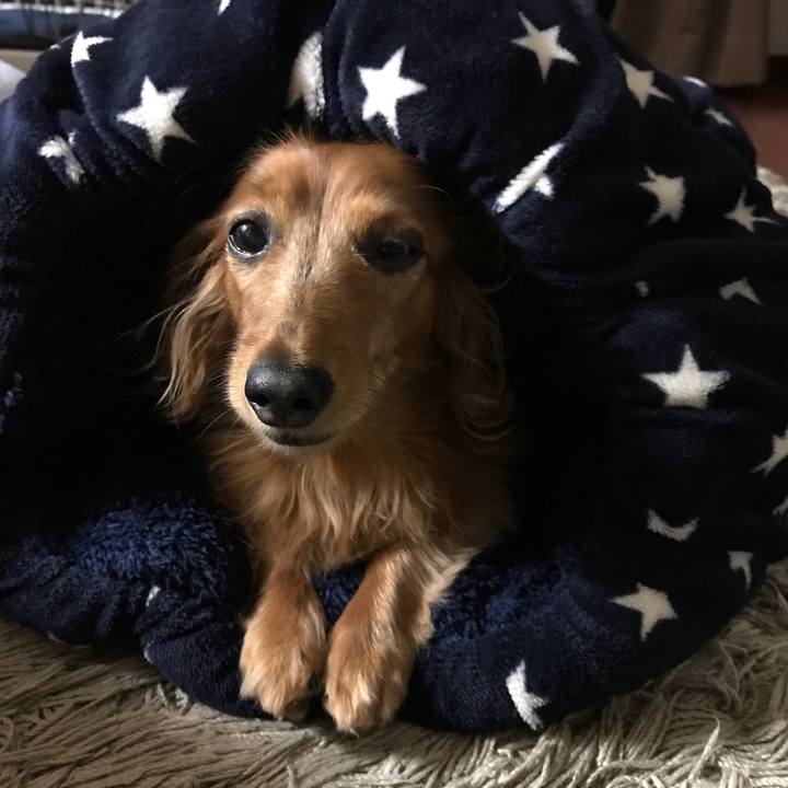 266aa1d4 0629 4219 aadb 5ca56f2bace0