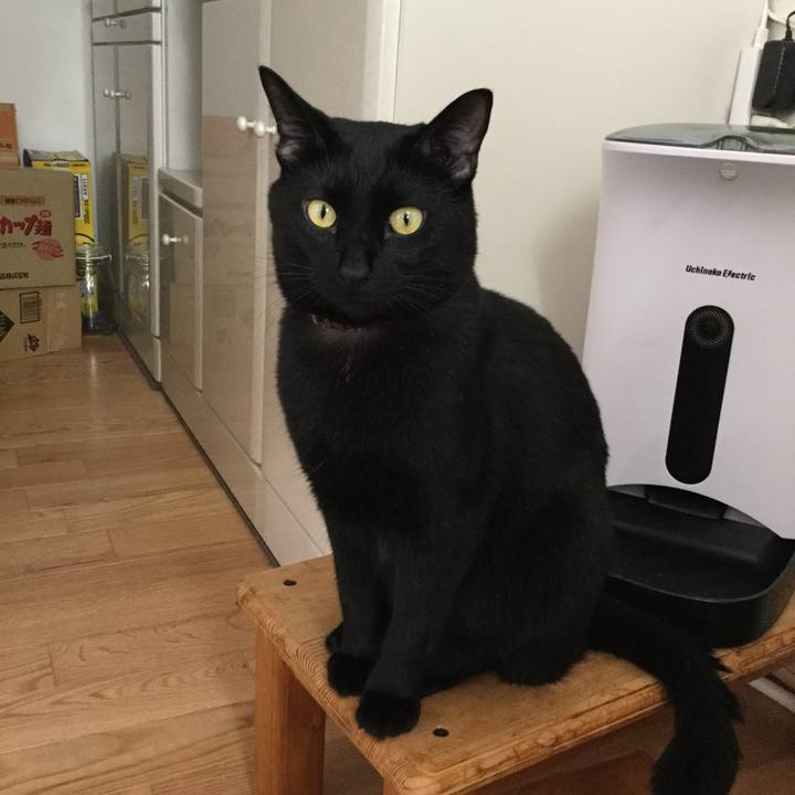 266b6687 6770 4ba4 aec8 175aceacc14a