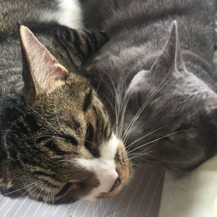 266c08ff 8a0c 447d bd95 0b786f340df6