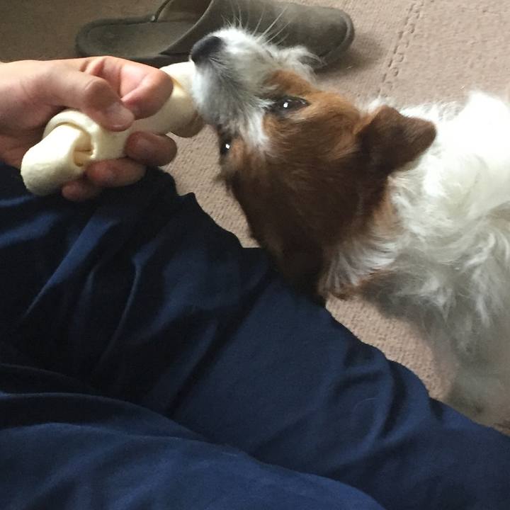 266c2905 42ae 4b1b b942 6b1cea5adbb9