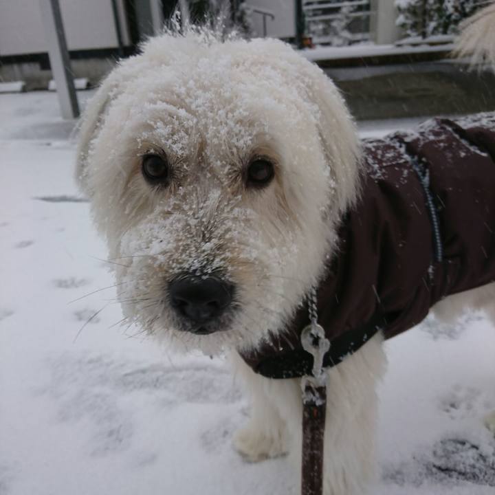 266c4b66 c9bd 4d81 83a2 e34e77d0caf7