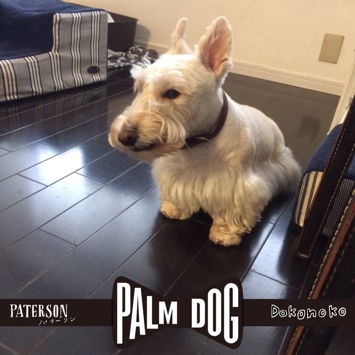 266cd727 4851 4a70 b416 ed09a4212075