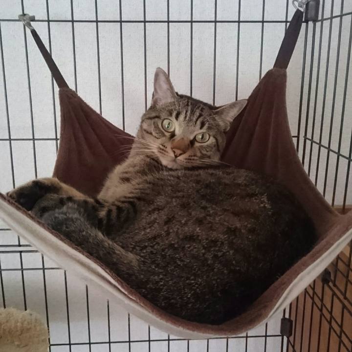 266d58a9 249f 4274 ae2e 3084f98e6c9e