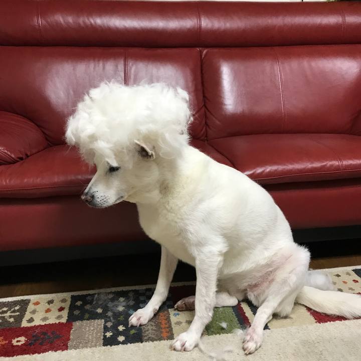 266e05fc 9909 4e32 b907 0760c8bc752f