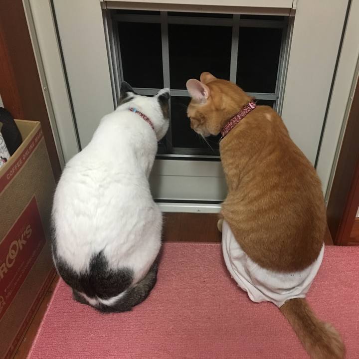 266ec77e 79da 4145 bf24 ea902e79d2bf