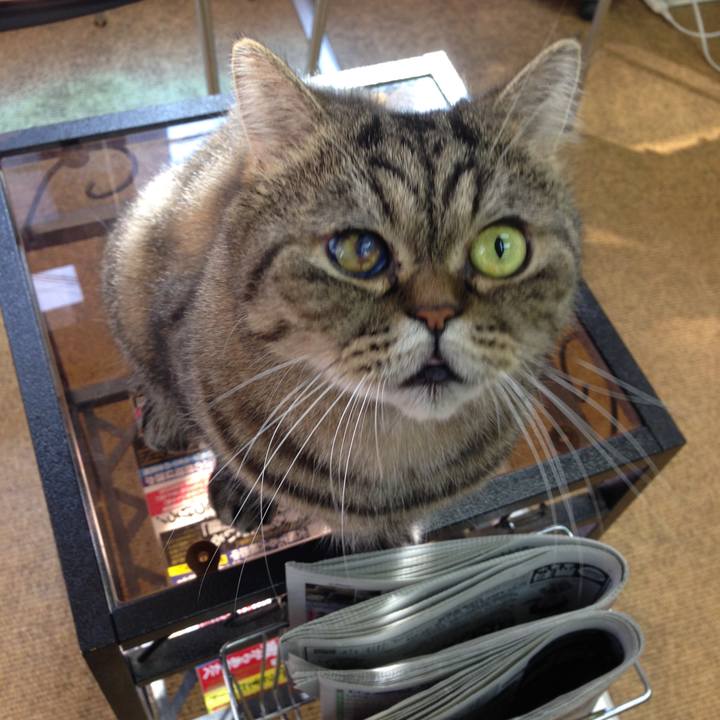 266f5f43 81fc 4363 bf56 c90341618185